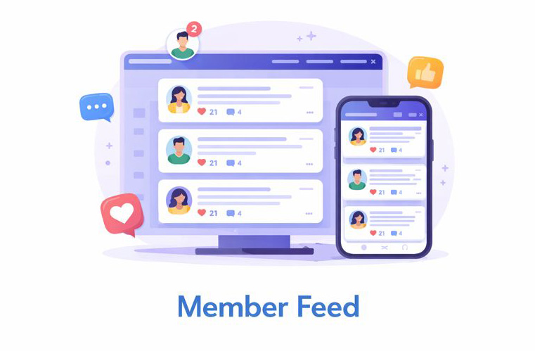 Member Feed